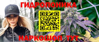 ешки Волгодонск