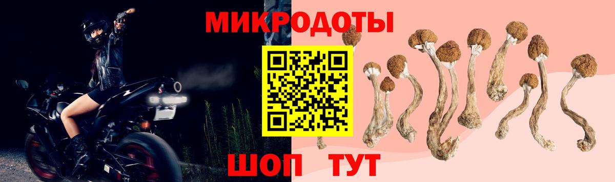 Псилоцибиновые грибы мицелий Старая Купавна